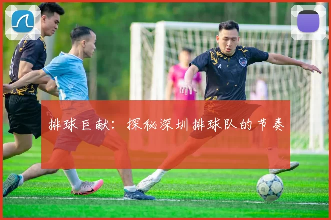 排球巨献：探秘深圳排球队的节奏