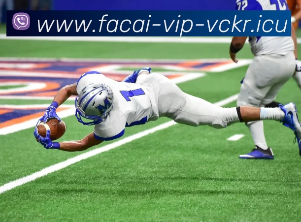 乐鱼体育APP 封面图