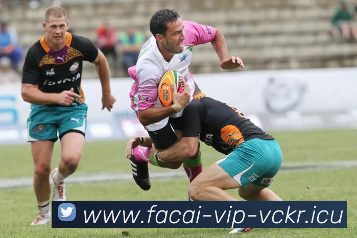 数据防护可视化